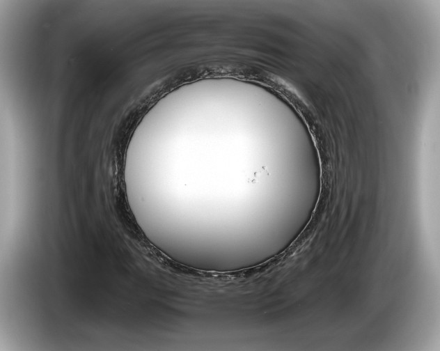 X0000086231111200703290937