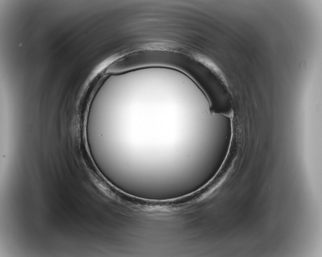 X0000086231114200703290937