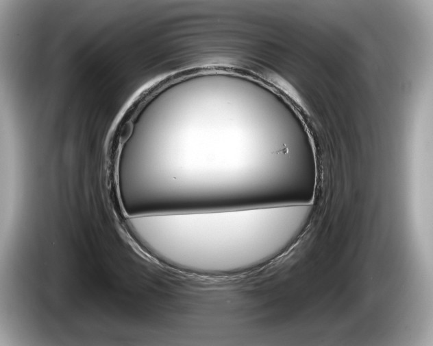 X0000086231116200703290937