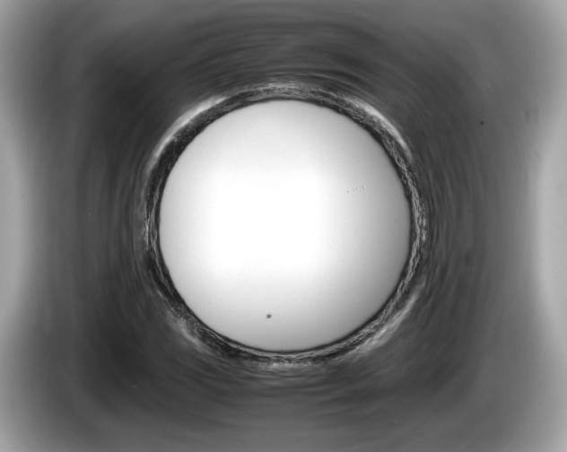 X0000086231117200703290937