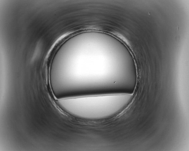 X0000086231123200703290938