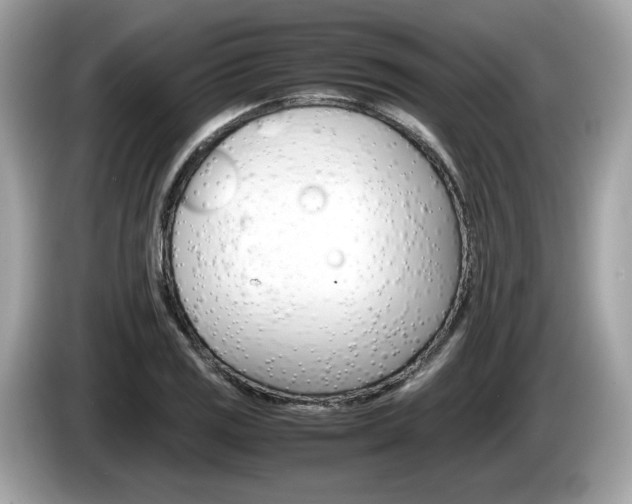 X0000086231125200703290938