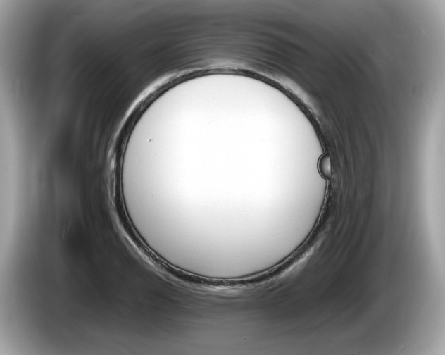X0000086231126200703290938