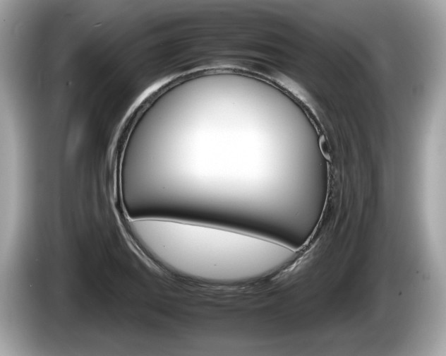 X0000086231127200703290938