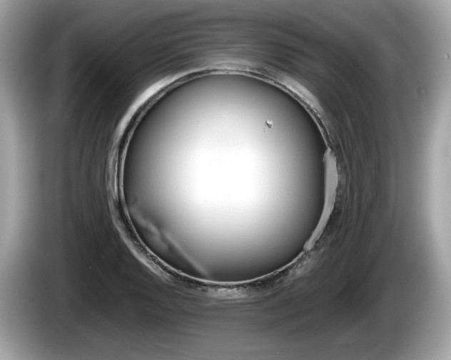 X0000086231128200703290938