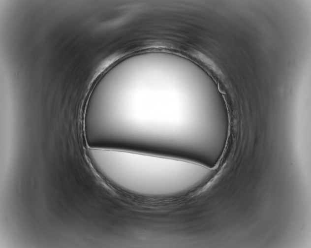 X0000086231129200703290938