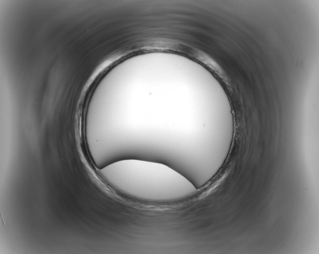 X0000086231130200703290938