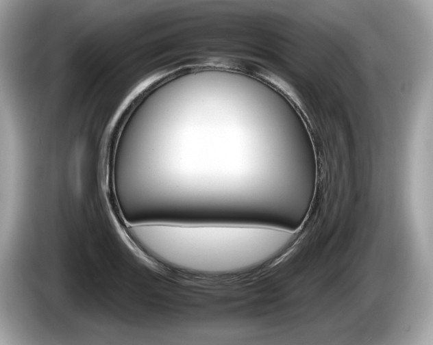 X0000086231131200703290938