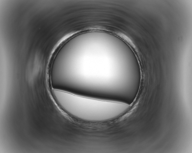 X0000086231133200703290938