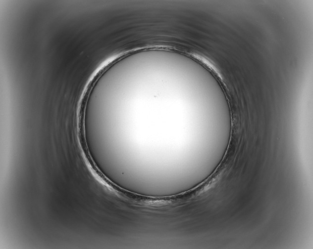 X0000086231135200703290938