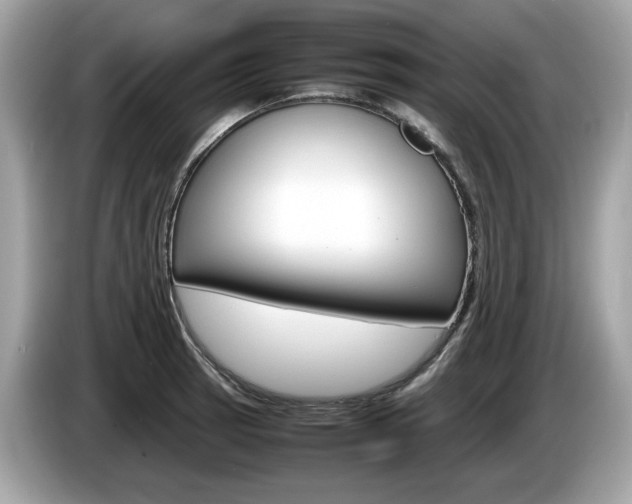 X0000086231137200703290938