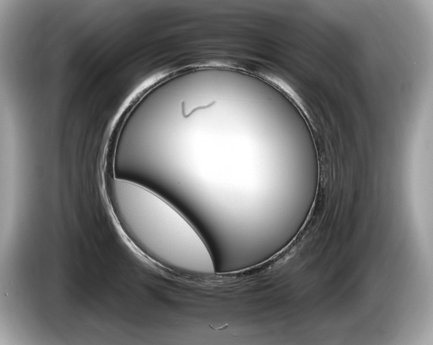 X0000086231139200703290938