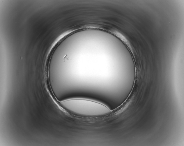 X0000086231141200703290938