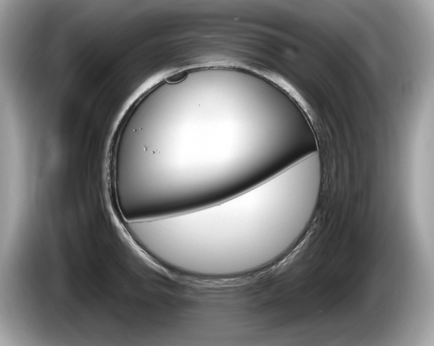 X0000086231142200703290938
