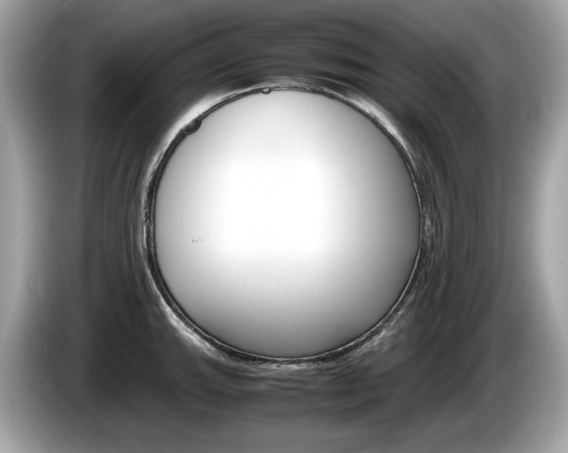 X0000086231143200703290938