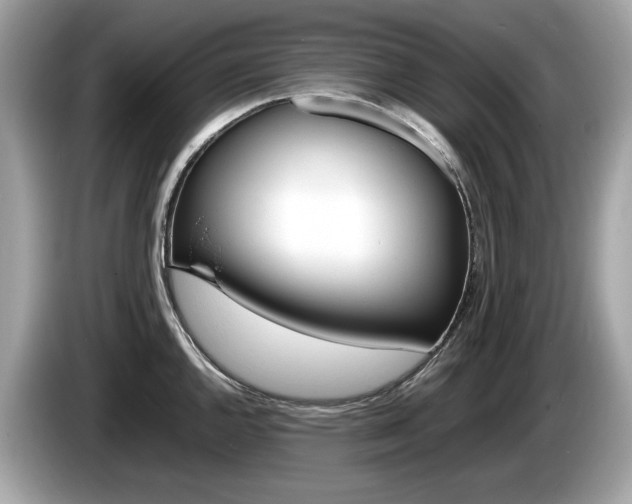 X0000086231144200703290938