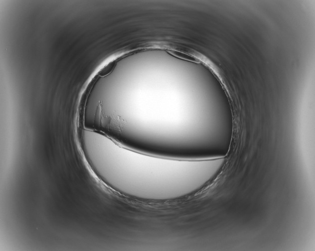X0000086231147200703290938