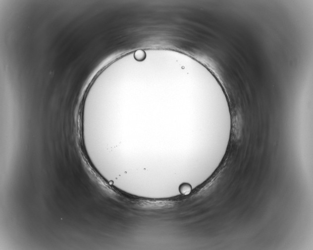 X0000086231150200703290938