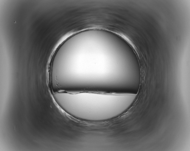 X0000086231151200703290938