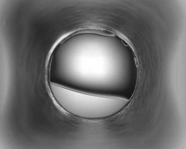 X0000086231152200703290938