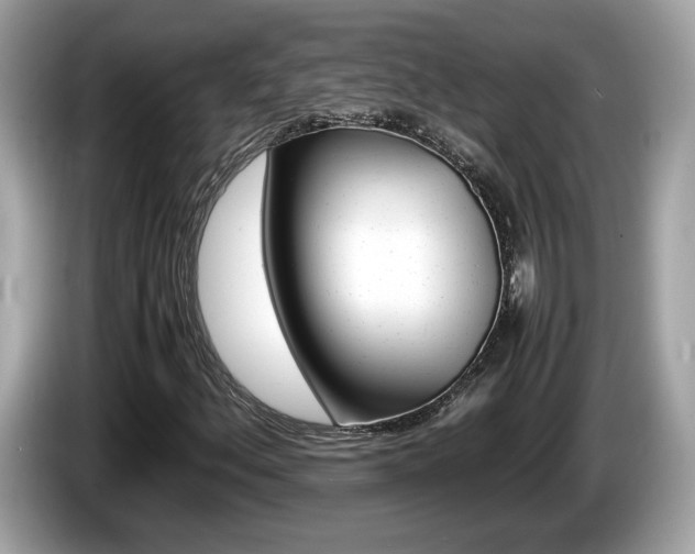 X0000086231156200703290937