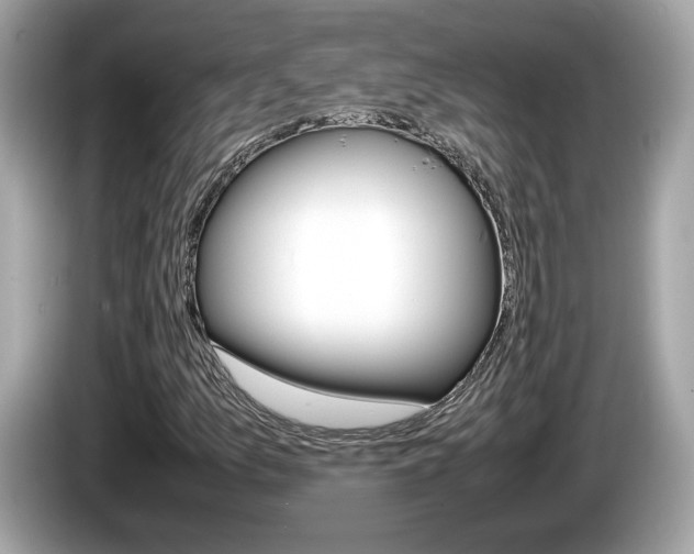 X0000086231157200703290937