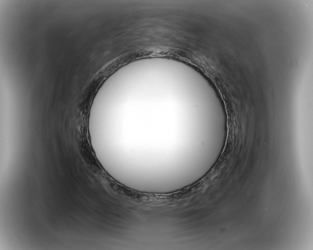 X0000086231158200703290937