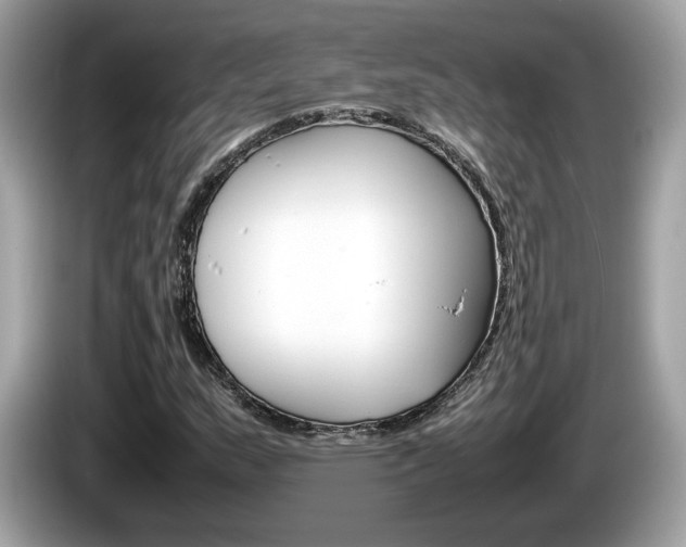 X0000086231159200703290937