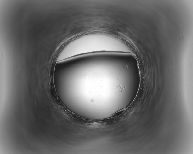 X0000086231160200703290937