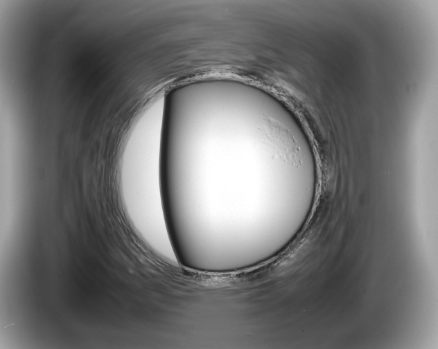 X0000086231161200703290937