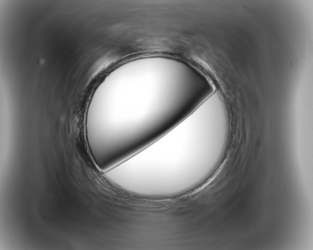 X0000086231163200703290937