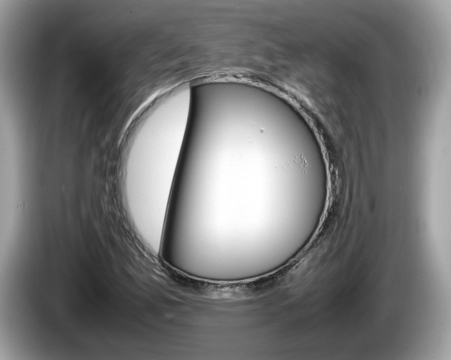 X0000086231165200703290937