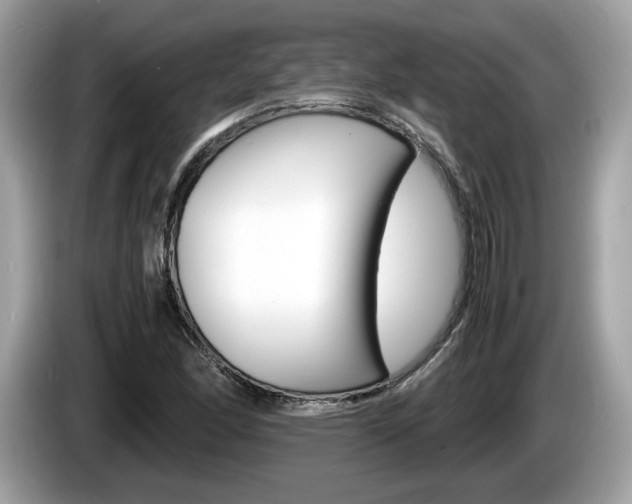 X0000086231166200703290937