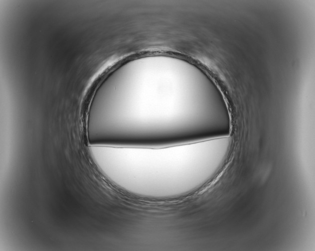 X0000086231167200703290937