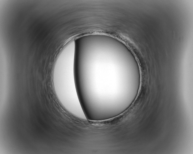 X0000086231169200703290937