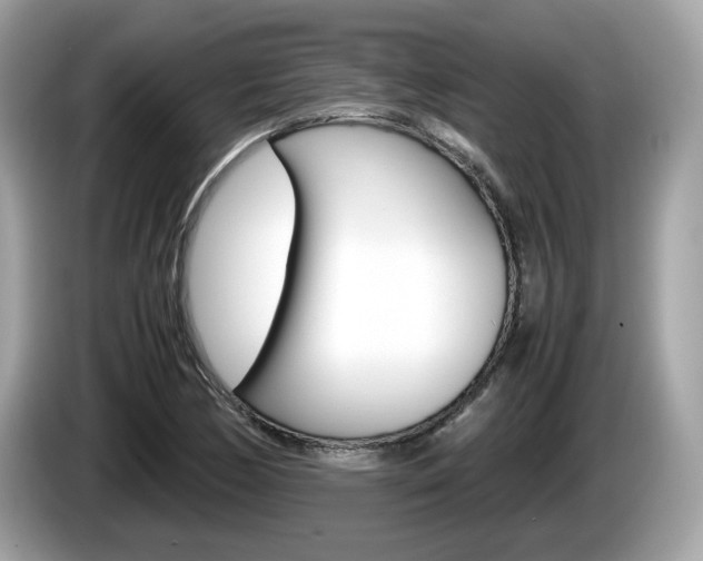 X0000086231170200703290937