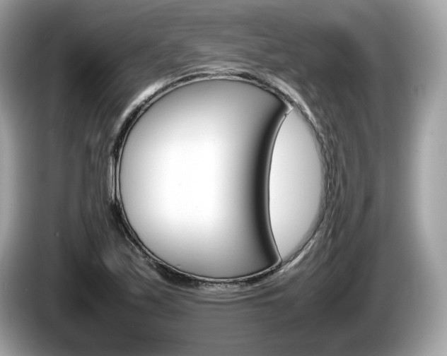 X0000086231171200703290937