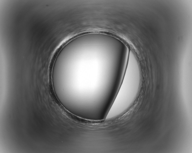 X0000086231173200703290937