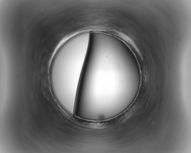 X0000086231176200703290937