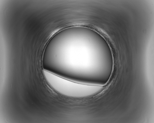 X0000086231177200703290937
