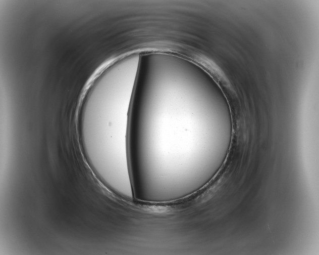 X0000086231180200703290937