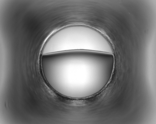 X0000086231181200703290937