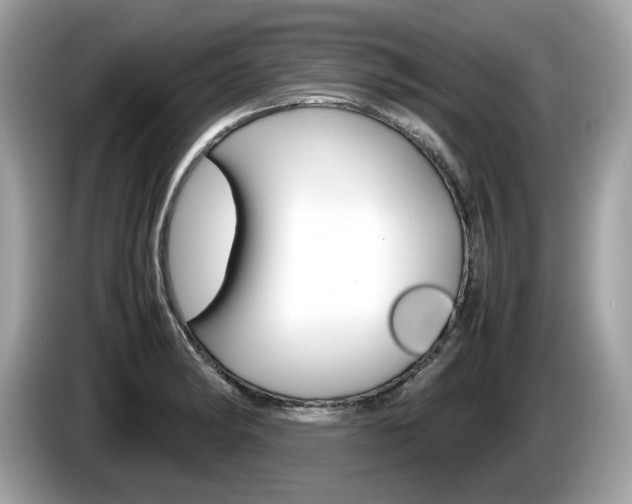 X0000086231182200703290937