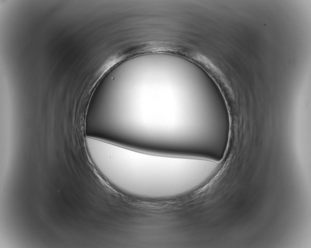 X0000086231185200703290937