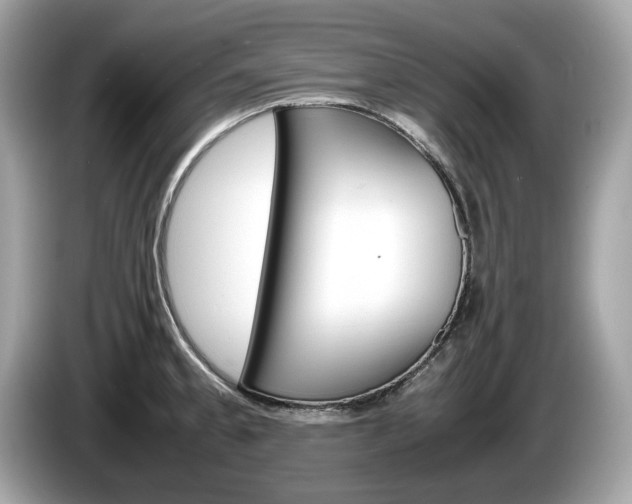 X0000086231189200703290937