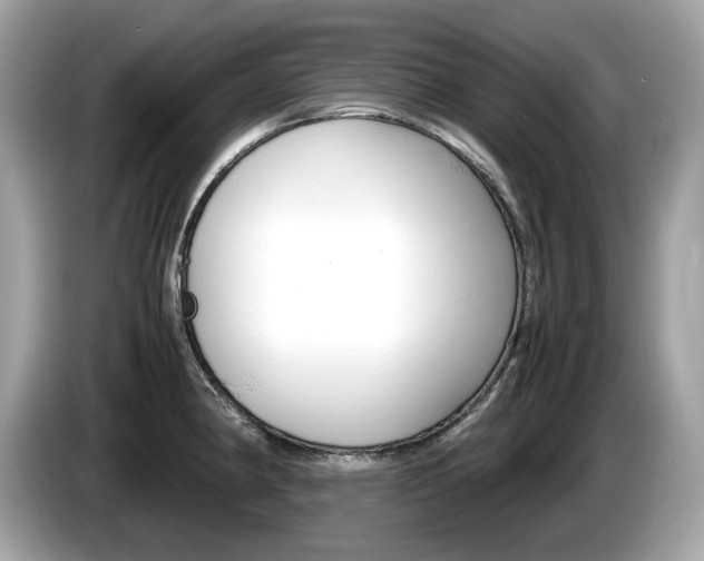 X0000086231190200703290937