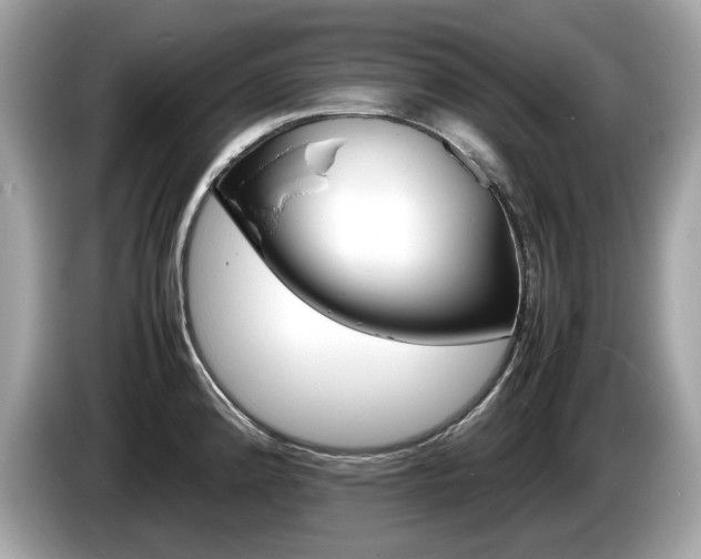 X0000086231192200703290937