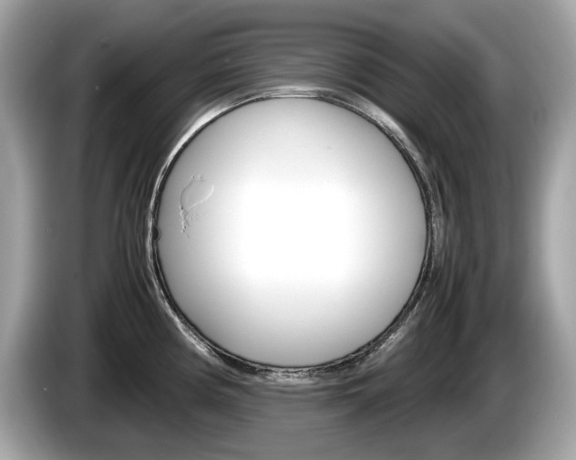 X0000086231194200703290937
