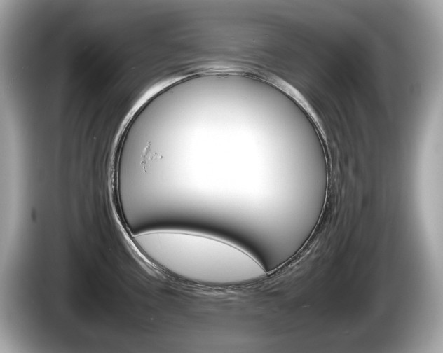 X0000086231195200703290937