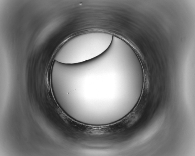 X0000086231198200703290937